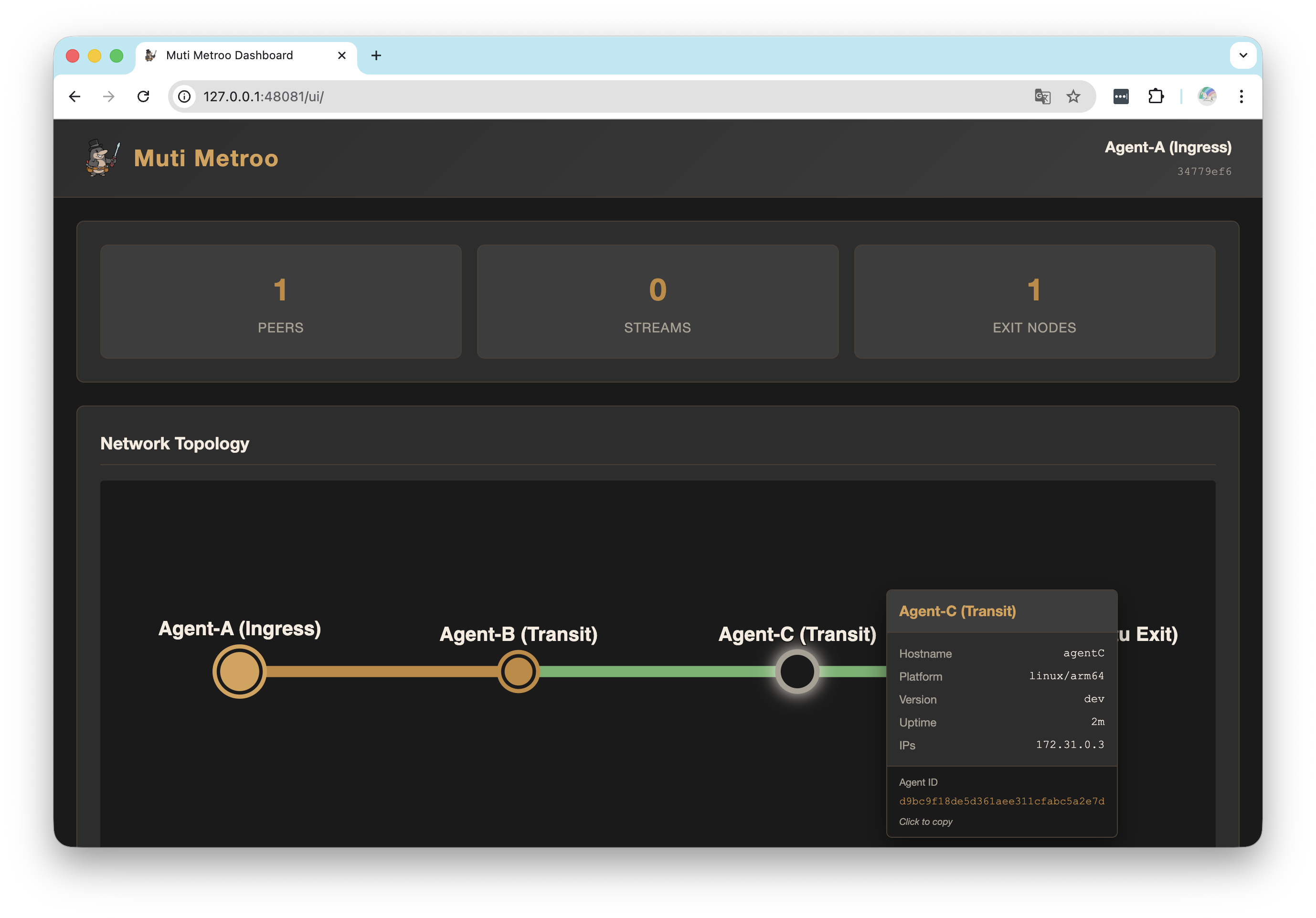Muti Metroo Dashboard
